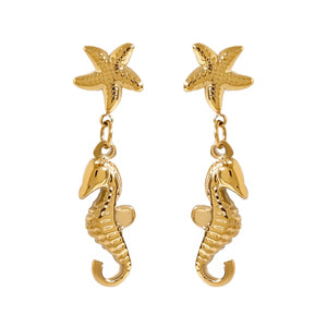 Seahorse Earrings for Women - Argesteel