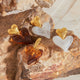 Heart Earrings for Women - Argesteel